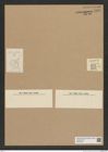 Diatomeae indet. Zeichnungen Sammlung Grunow Nr. 6934 (NHMW-BOT-W0375818)